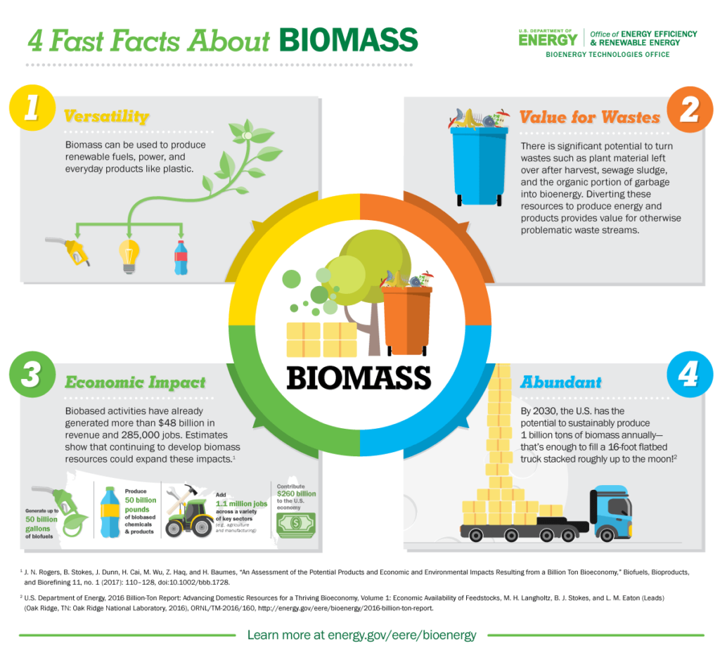 Types of Biomass